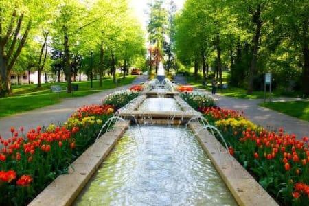 Villa Rosa باد كامبيرغ المظهر الخارجي الصورة